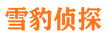 岐山外遇调查取证